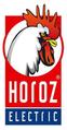 Horoz Electric логотип